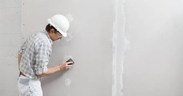 Best Drywall Texturing  in Woodlawn Beach, FL