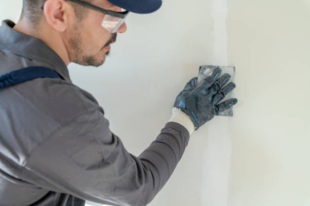 Best Drywall Sanding and Smoothing  in Woodlawn Beach, FL