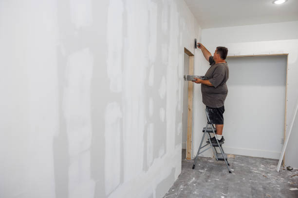 Best Faux Finishing and Decorative Painting  in Woodlawn Beach, FL