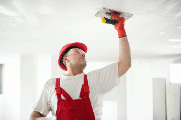 Best Drywall Removal and Disposal  in Woodlawn Beach, FL